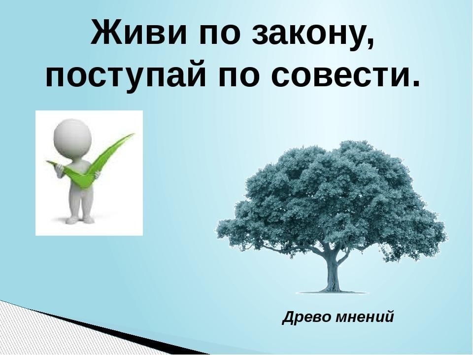 Жить по совести. Живи по совести. Живи по закону. Дерево совести. Поступай по совести.