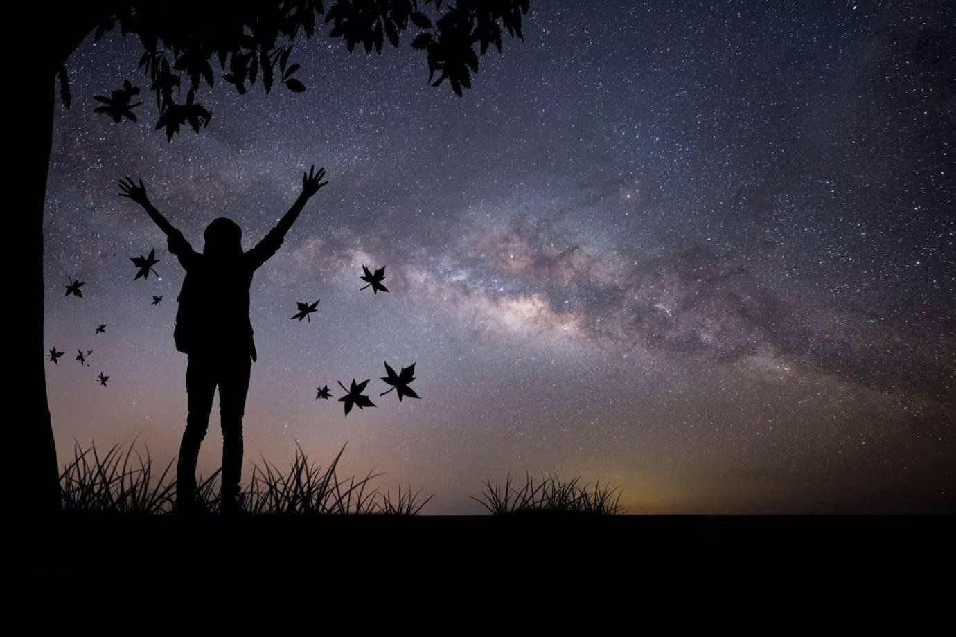 Что то странная свобода. Падение звезды эстетичные фотографии. Make a Wish.
