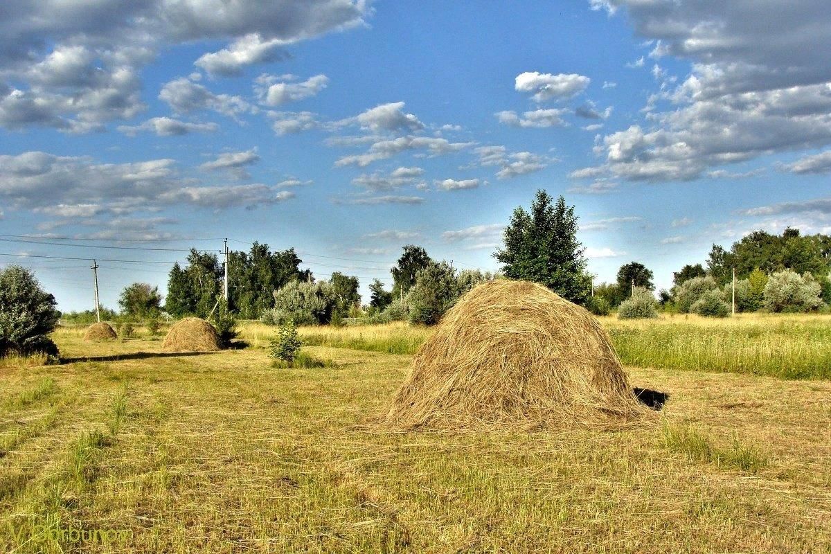 Стог сена фото в поле в старину