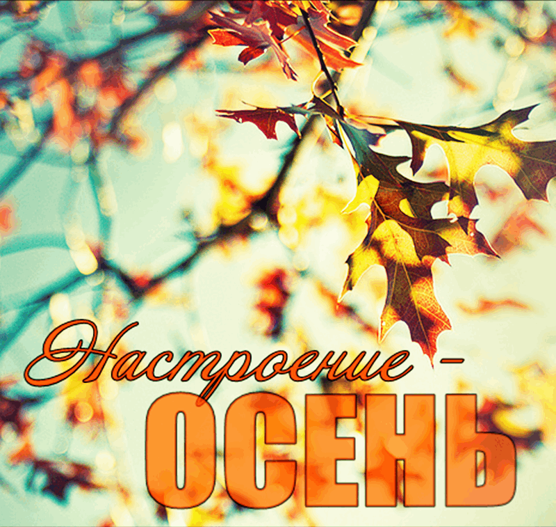Красивые слова про осень короткие для фото Вечер отдыха "Осеннее настроение" 2023, Мамадышский район - дата и место проведе