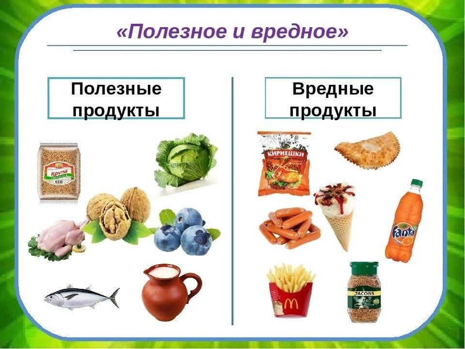 Полезные и вредные продукты: мифы и правда