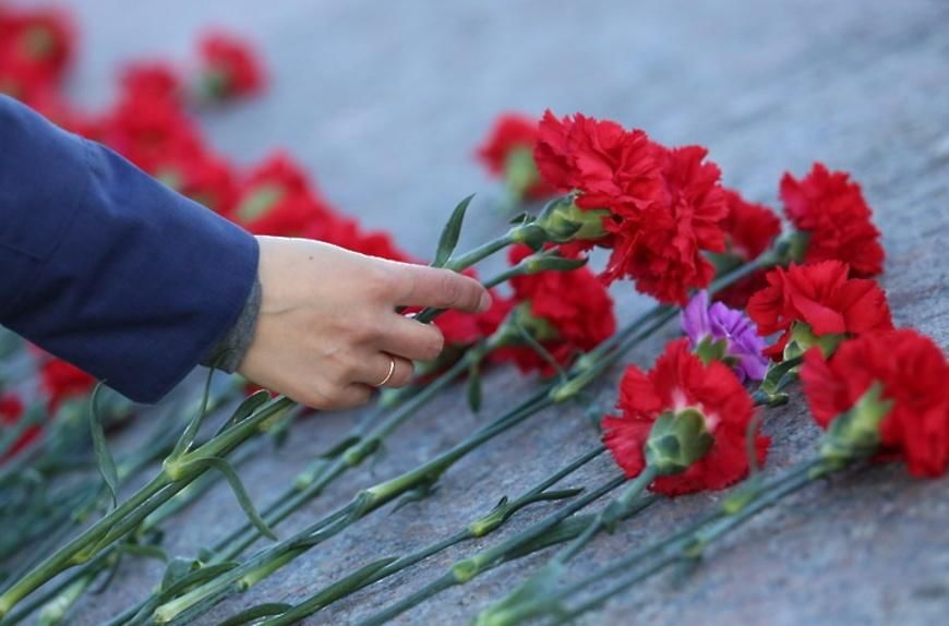 Гвоздики к памятнику картинка