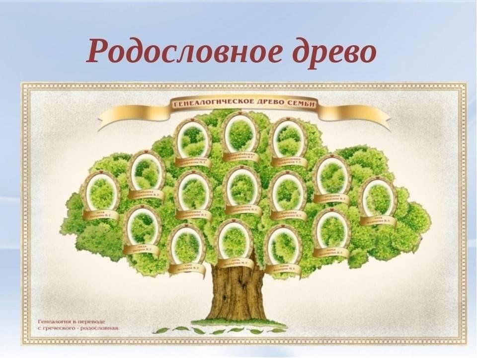 Моя родословная 4 класс презентация