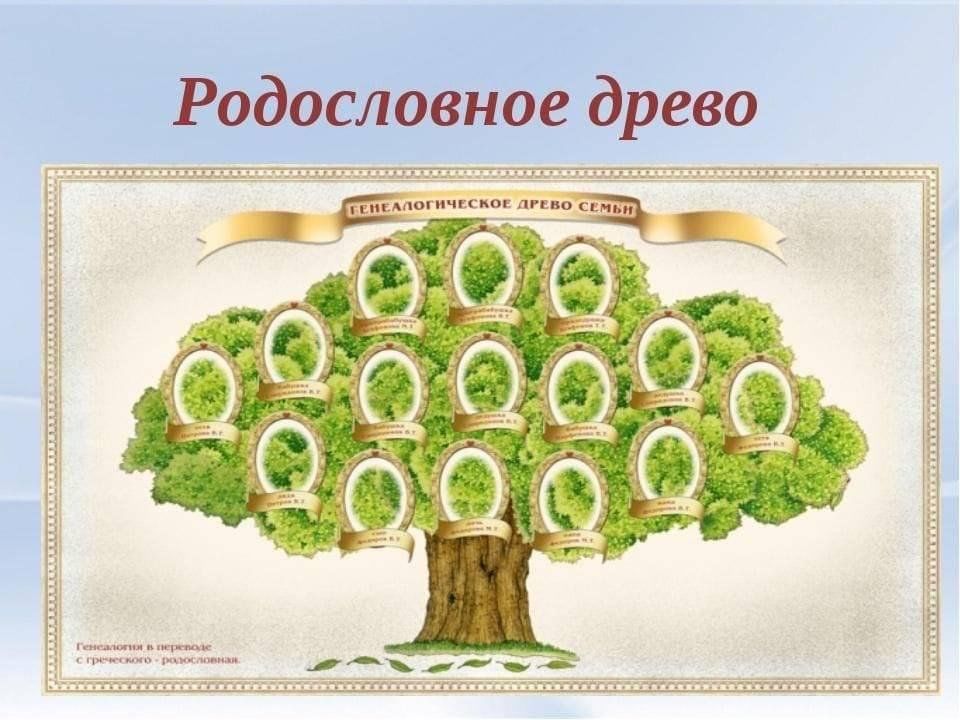 Родословное древо проект