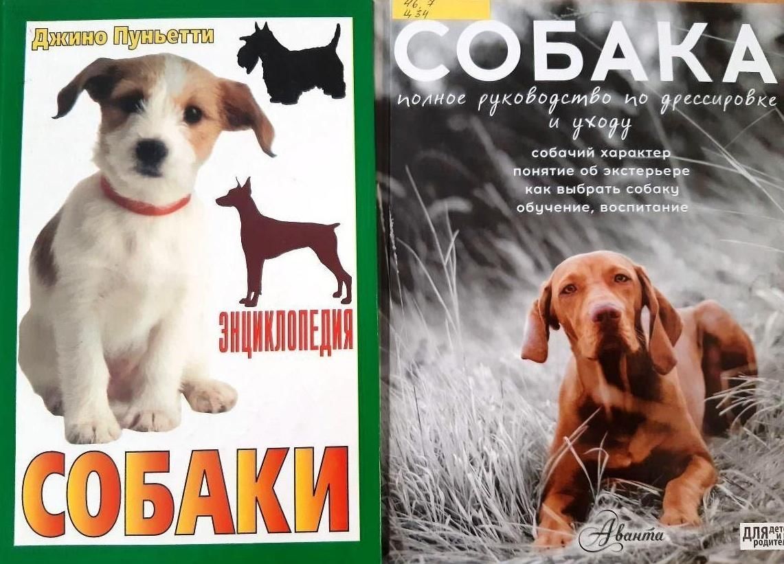 Выставка собак липецк 2024. Афиши с собаками. На выставке собак. Плакаты с собаками. Выставка собак афиша.