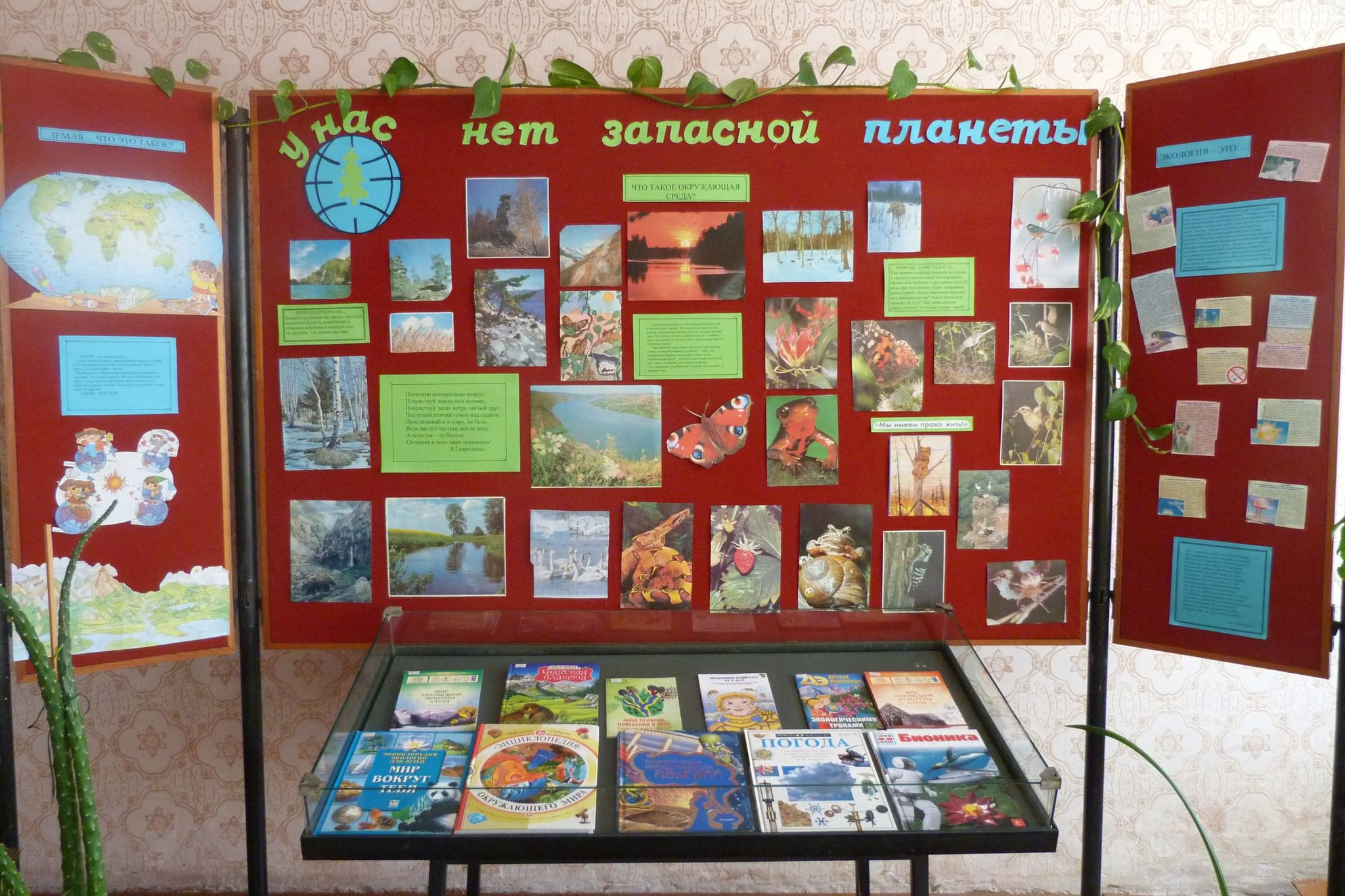 Книжная выставка по экологии в библиотеке