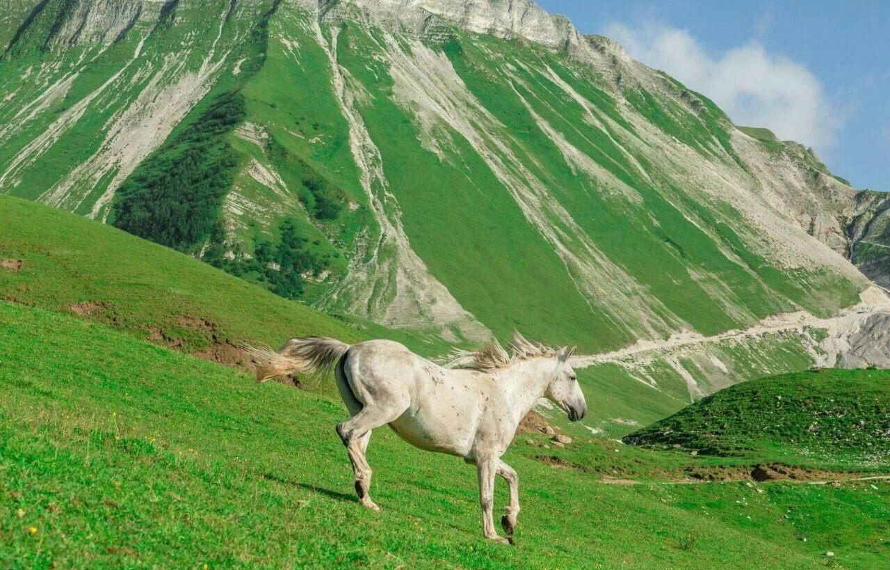 самые красивые места чечни