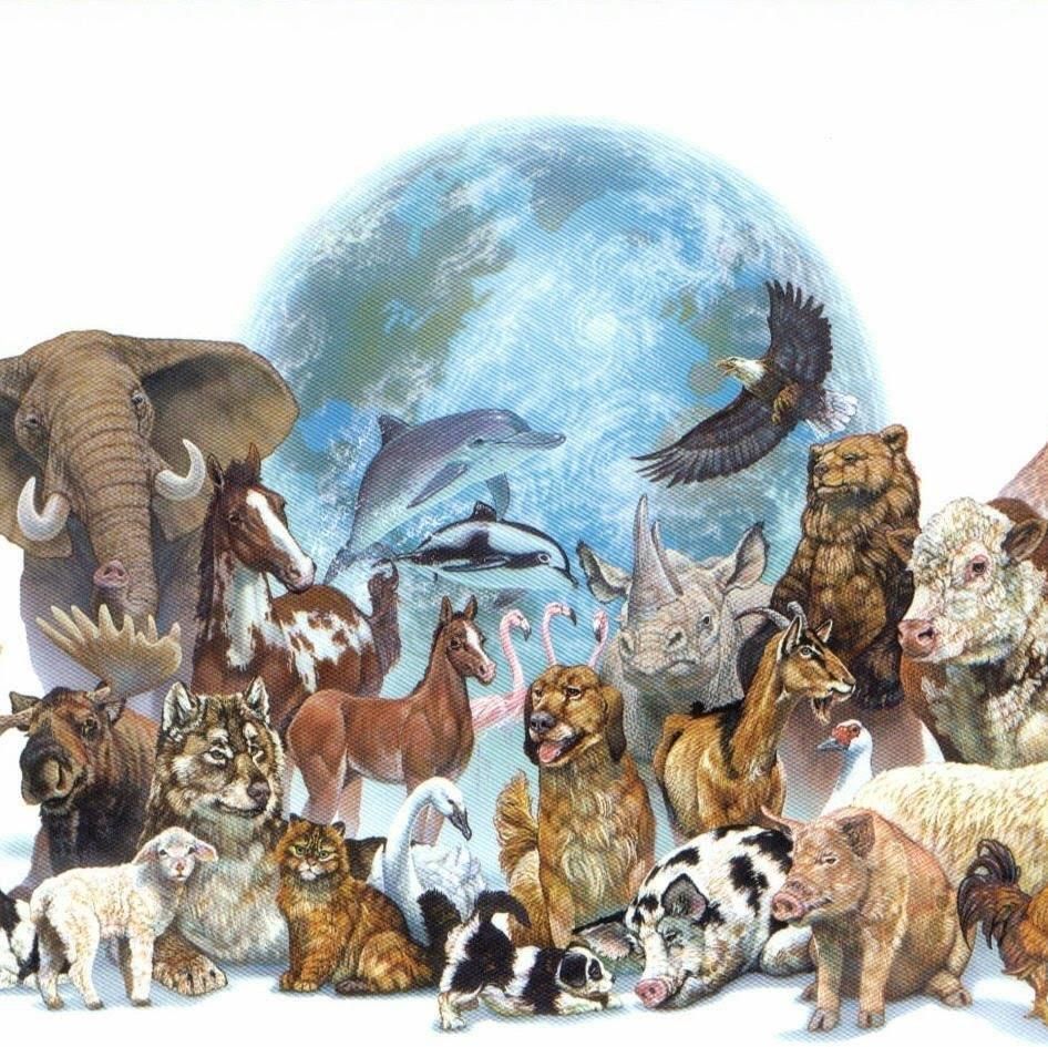 Планета с животными рисунок для детей