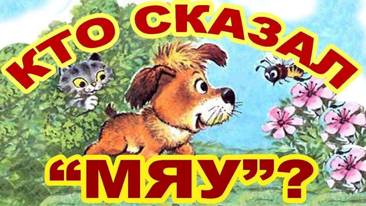 Конкурс рисунков «Кто сказал Мяу?» 2024, Малоархангельский район — дата и  место проведения, программа мероприятия.