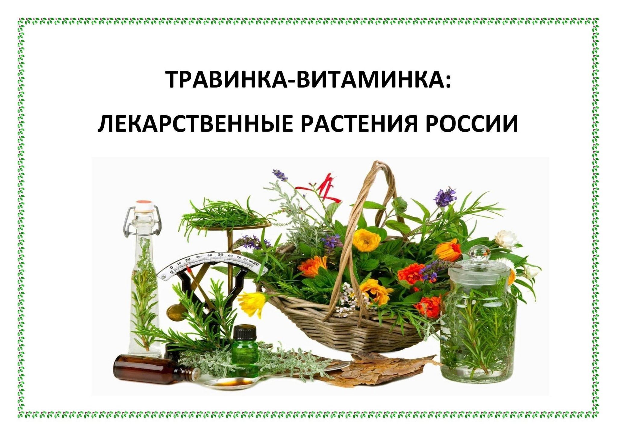 Выставка–просмотр«Травинка–витаминка: лекарственные растения России» 2024,  Брянск — дата и место проведения, программа мероприятия.