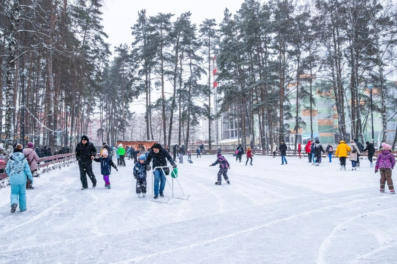 каток парк елочки