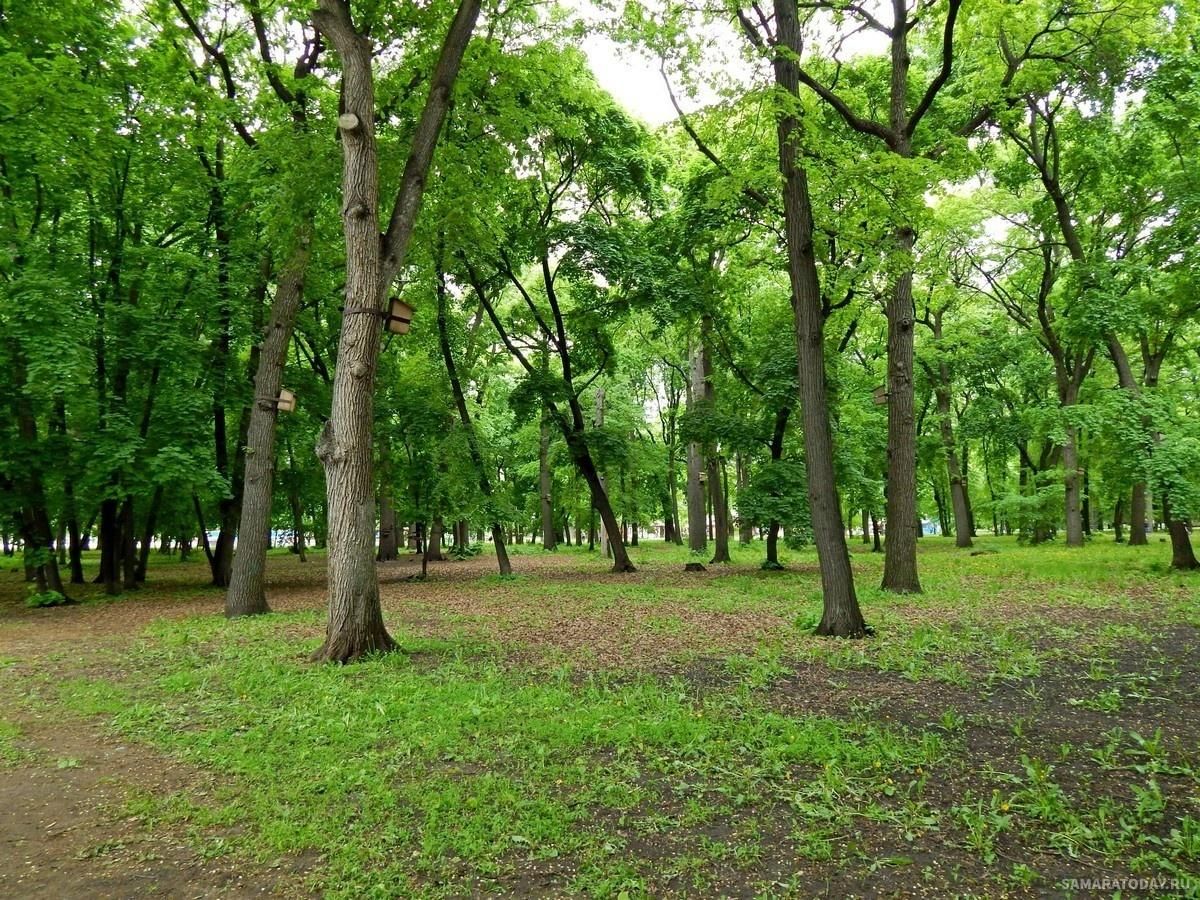 парк гагарина в рязани старые