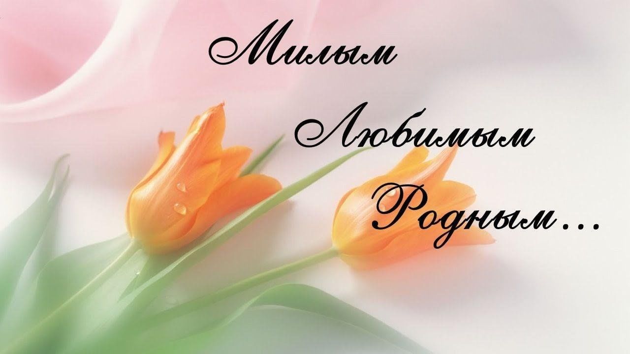 Картинка посвящается