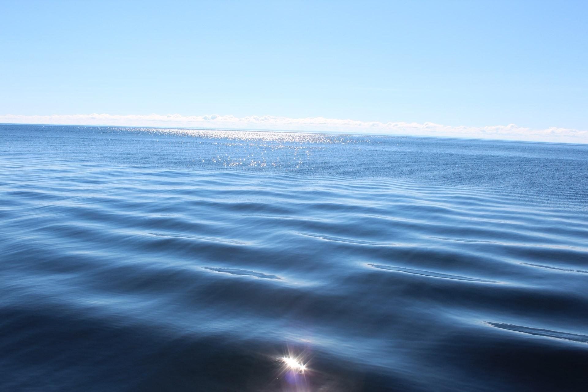 Вода источник жизни фото