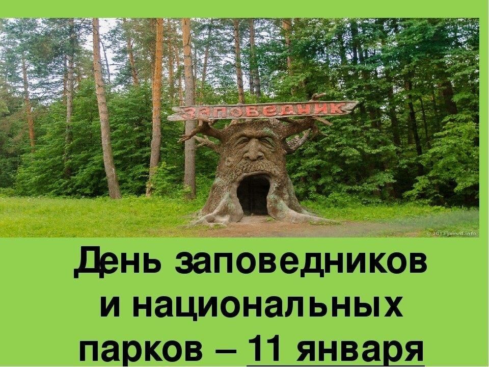 11 заповедников и национальных парков. День заповедников и национальных парков. День зхаповедников инациональных парков. Всемирный день заповедников. Российский день заповедников и национальных парков.