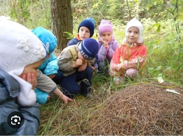 Экскурсия в лес летом