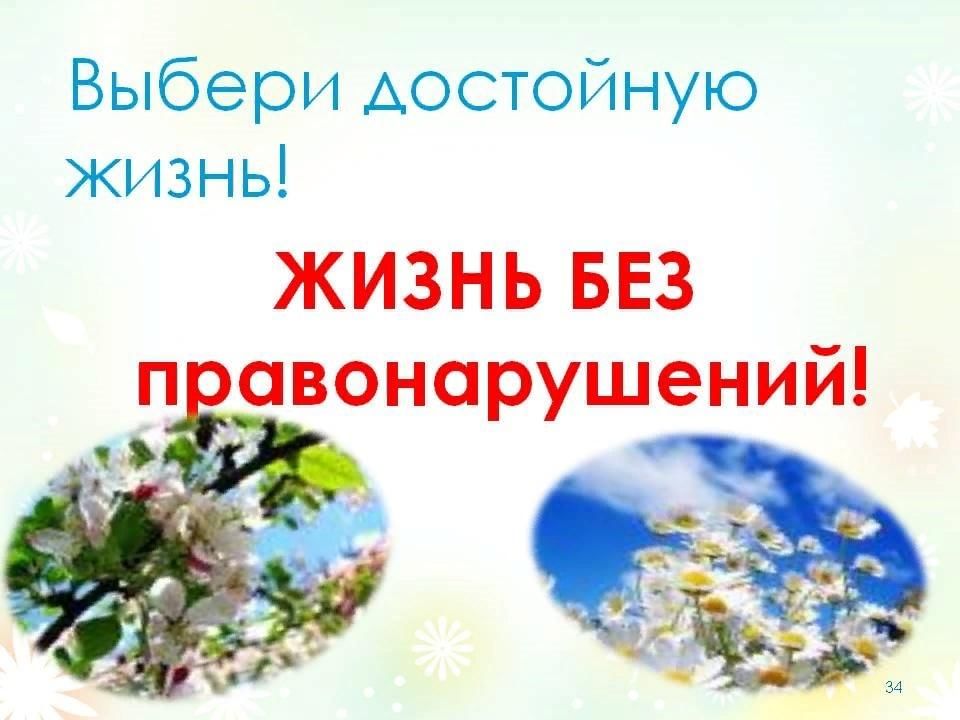 Picture background