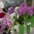 Экспресс-выставка сортовых флоксов «Родные цветы»