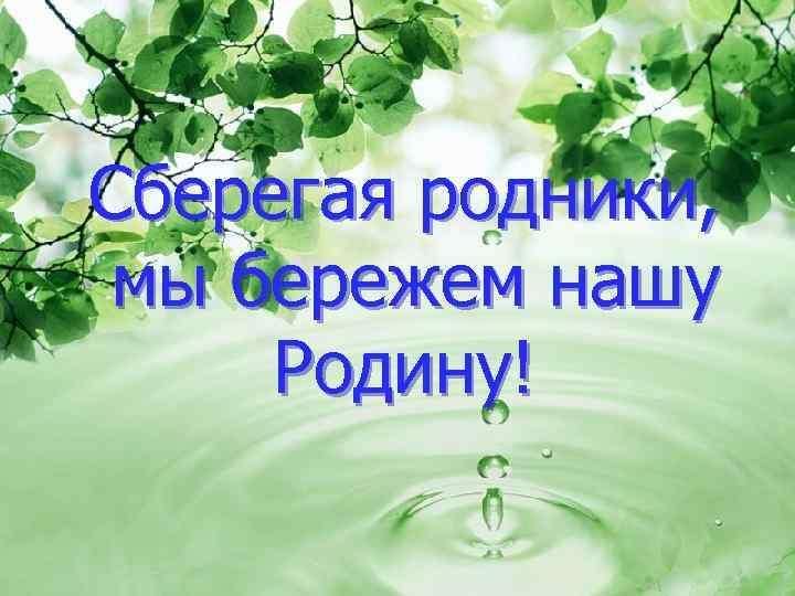 Живи родник проект