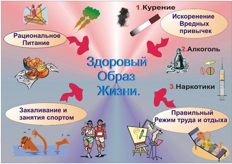 Школа здорового образа жизни тематика занятий план проведения и содержание каждого занятия