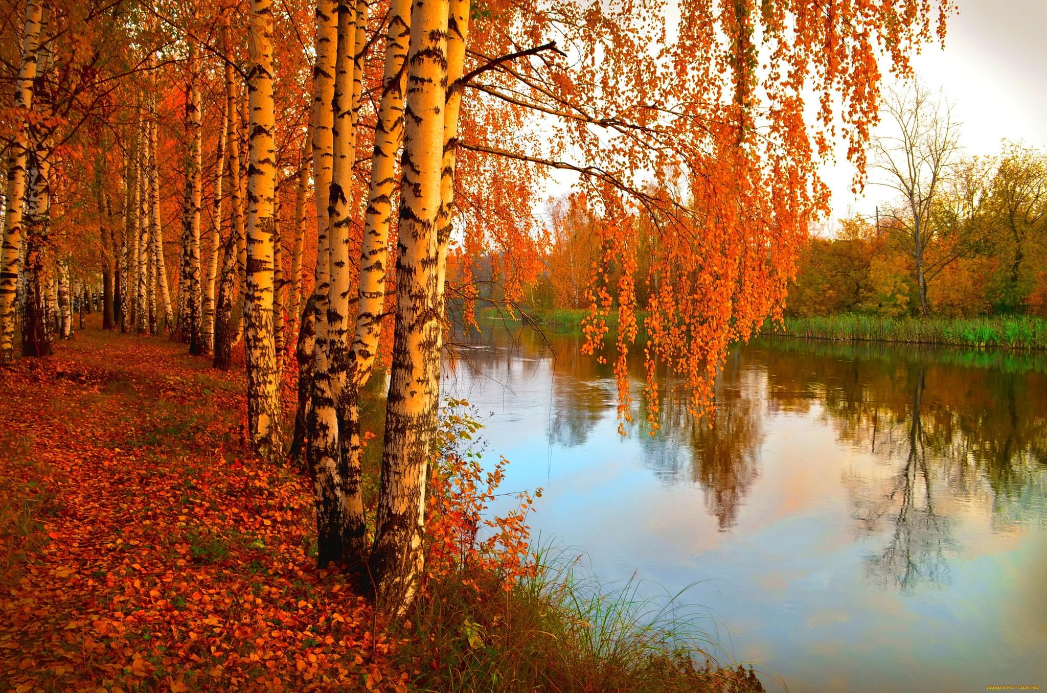 Осень пейзажи фото фото природы