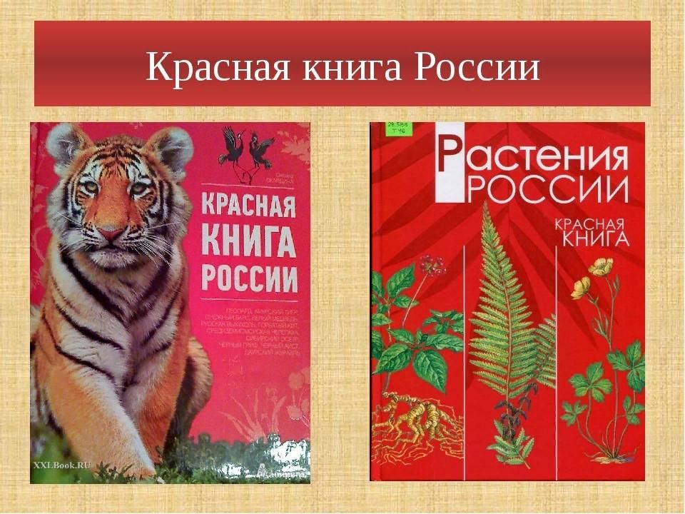 Красная книга проект 9 класс