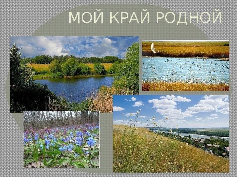 Мой край картинки