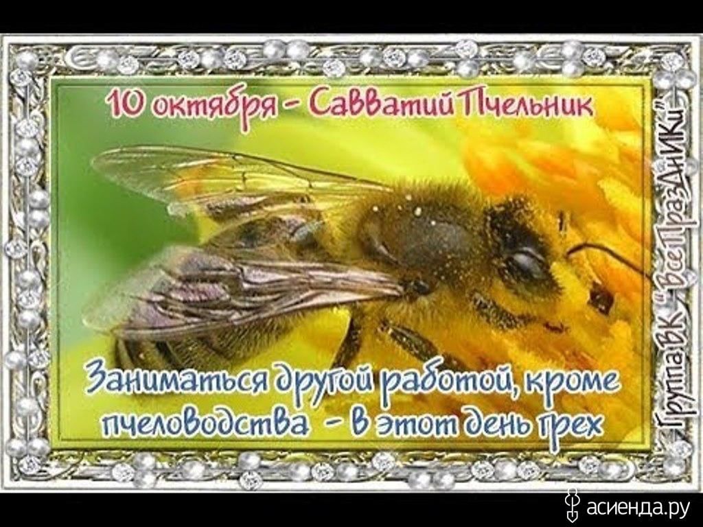 10 октября какой день. 10 Октября день Савватия (Савватий Пчельник). Савватий Пчельник народный календарь. Савватий Пчельник праздник. Савватий Пчельник 10 октября открытки.