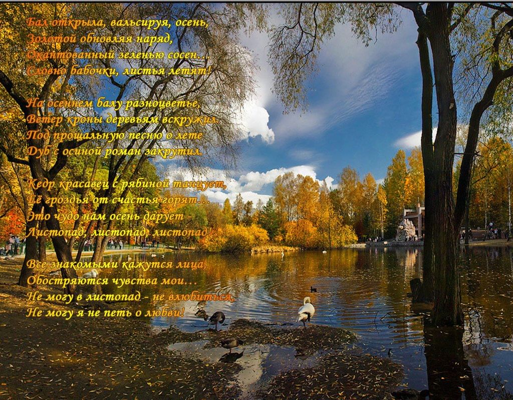 Осень стихи. Стихи про осень. Стихи про осень красивые. Иллюстрации к стихам об осени. Картинки про осень со стихами.