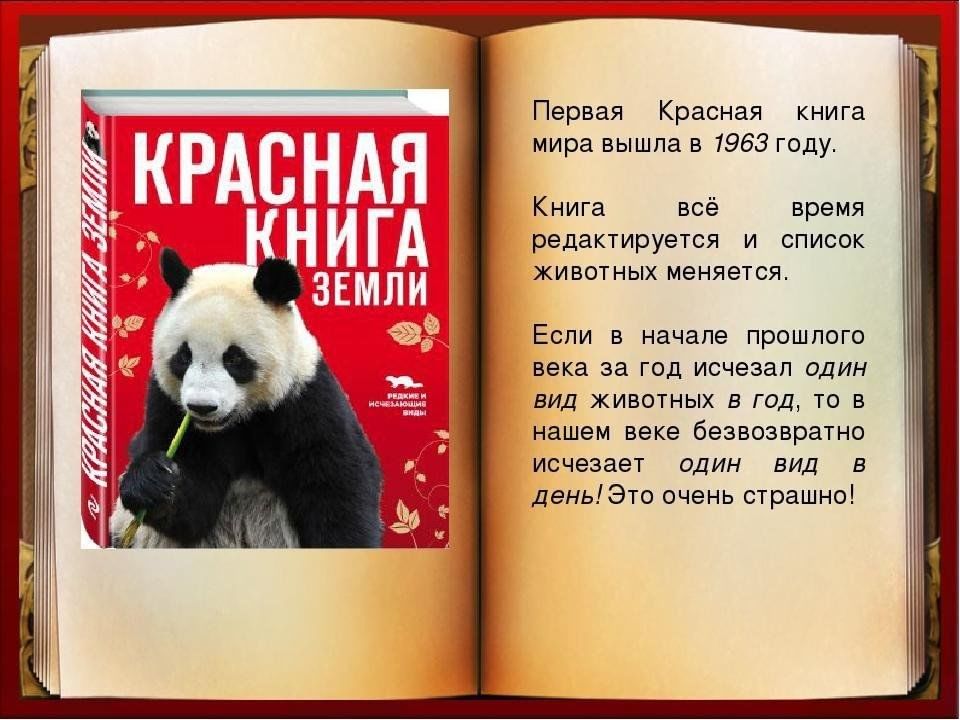 Покажи фото красной книги Путешествие по Красной книге"беседа-обзор 2023, Спасский район - дата и место пр