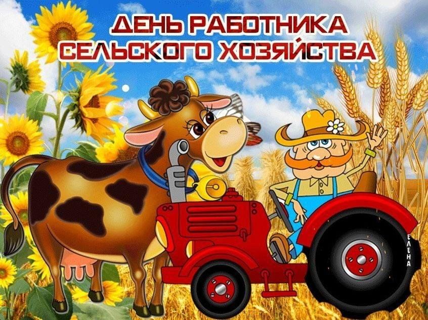 День сельского хозяйства и перерабатывающей промышленности фото День работников сельского хозяйства. Раздача поздравительных открыток. 2023, Кук