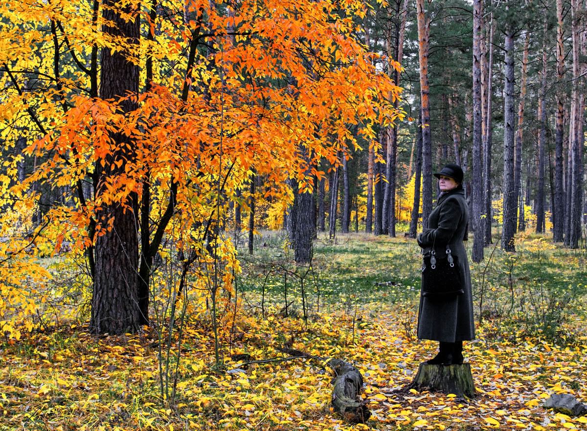 Запах осени. Осень поэт Данзанравжаа. Осенний Виктор Алексеев фотограф. Фото осени с поэтом.