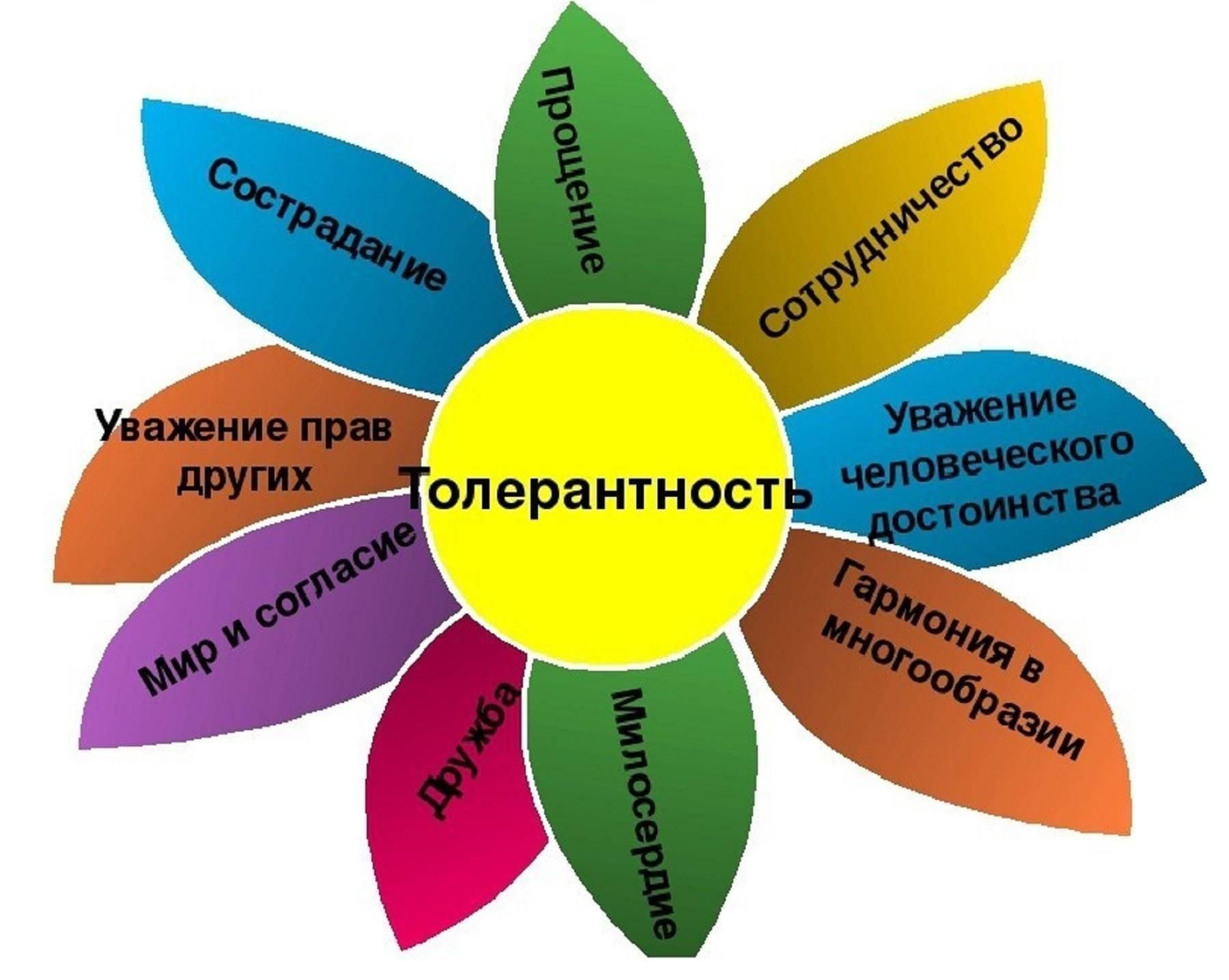 Цветок толерантности