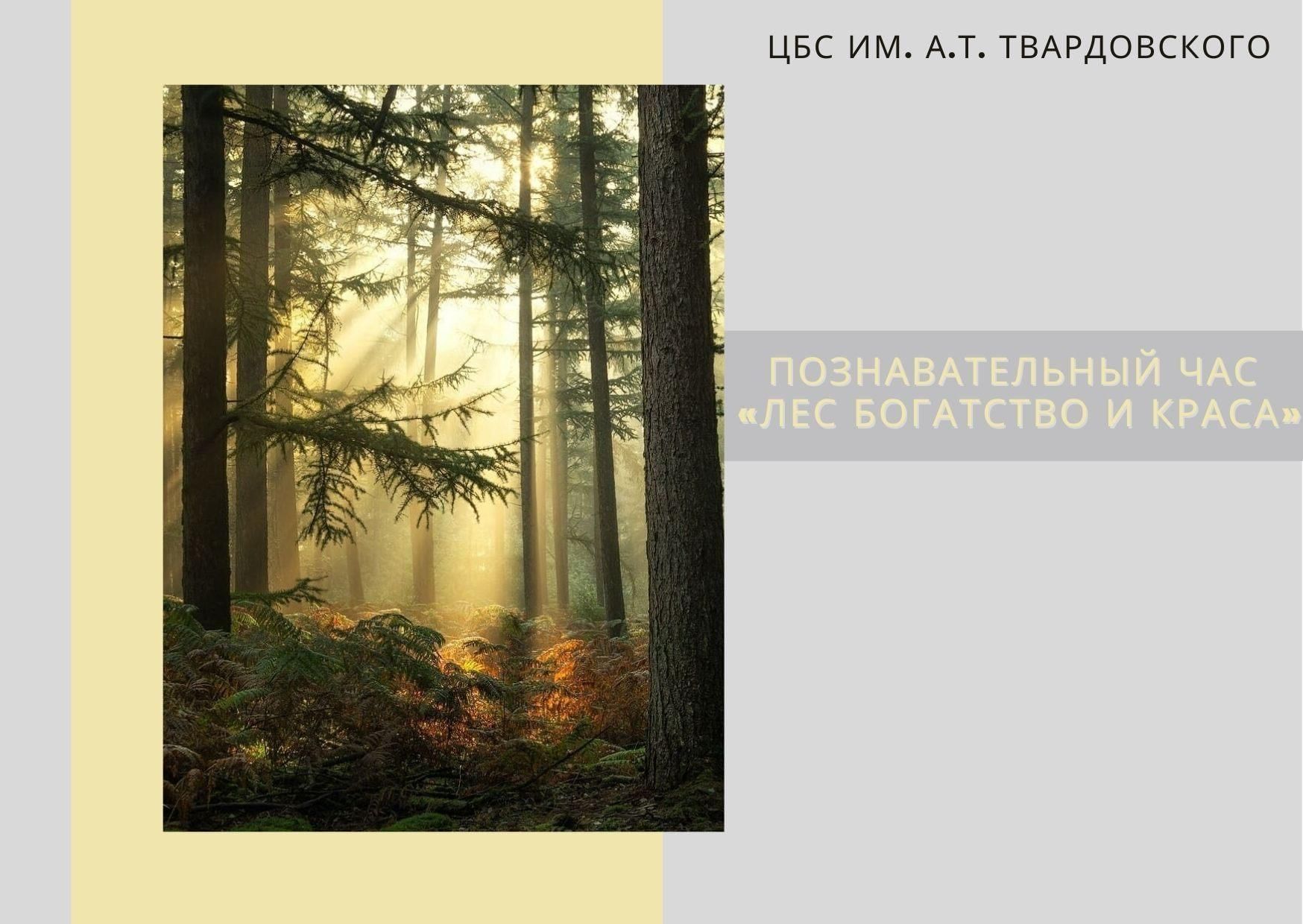 А4 24 в лесу. Лес богатство и Краса. Лес-богатство и Краса… Выставка. Листовки -лес-богатство и Краса. Акция лес - богатство и Краса.