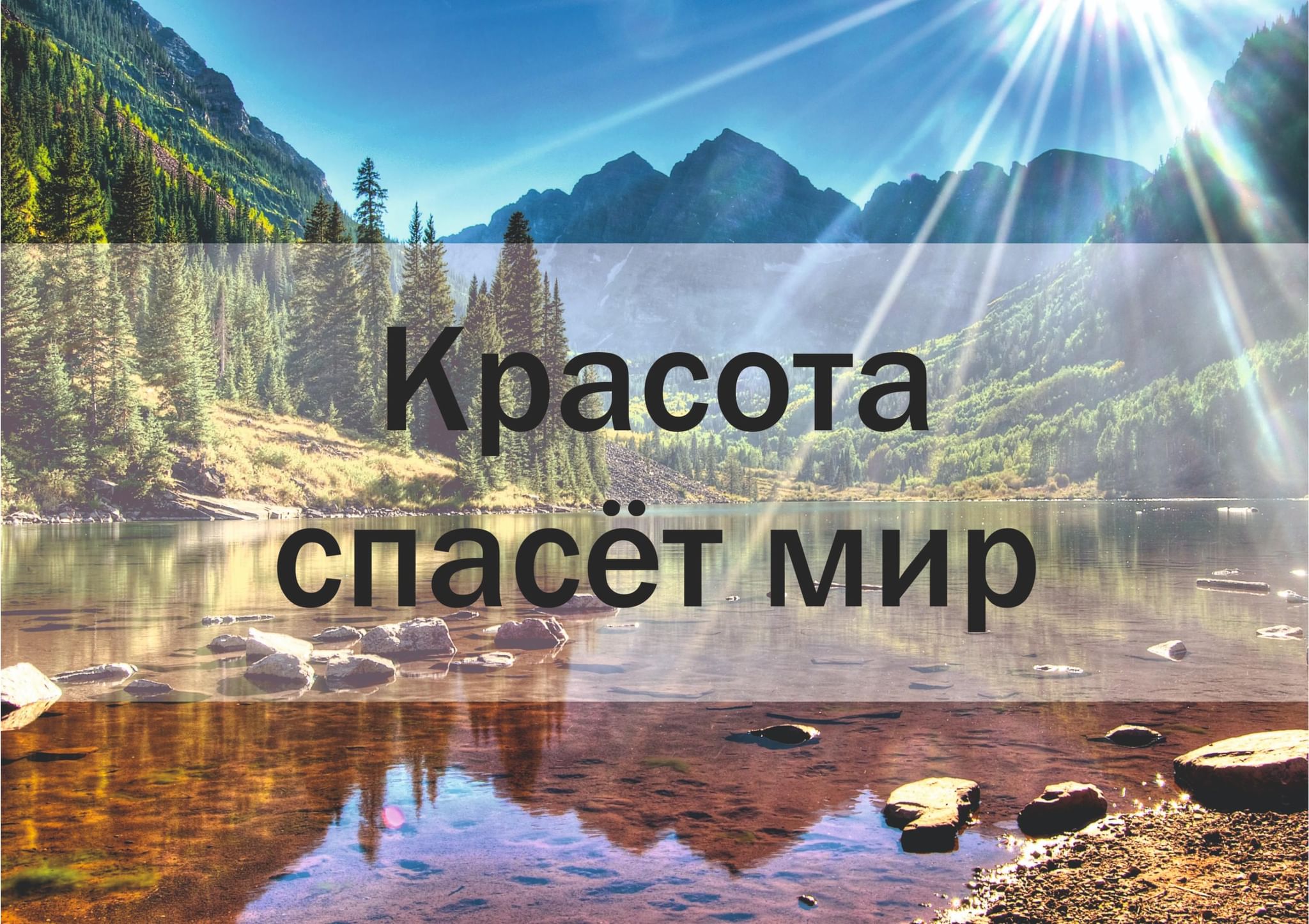 Красота спасет мир рисунок