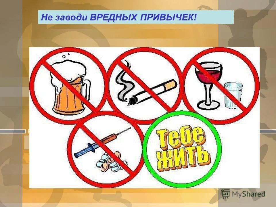 Вредные привычки проект 8 класс
