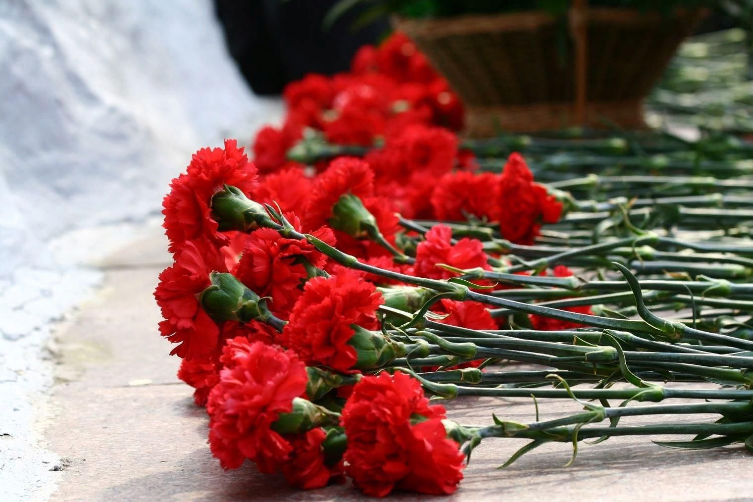 Гвоздики к памятнику картинка