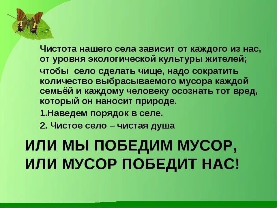 Проект на тему проблема чистоты в общественных местах 6 класс