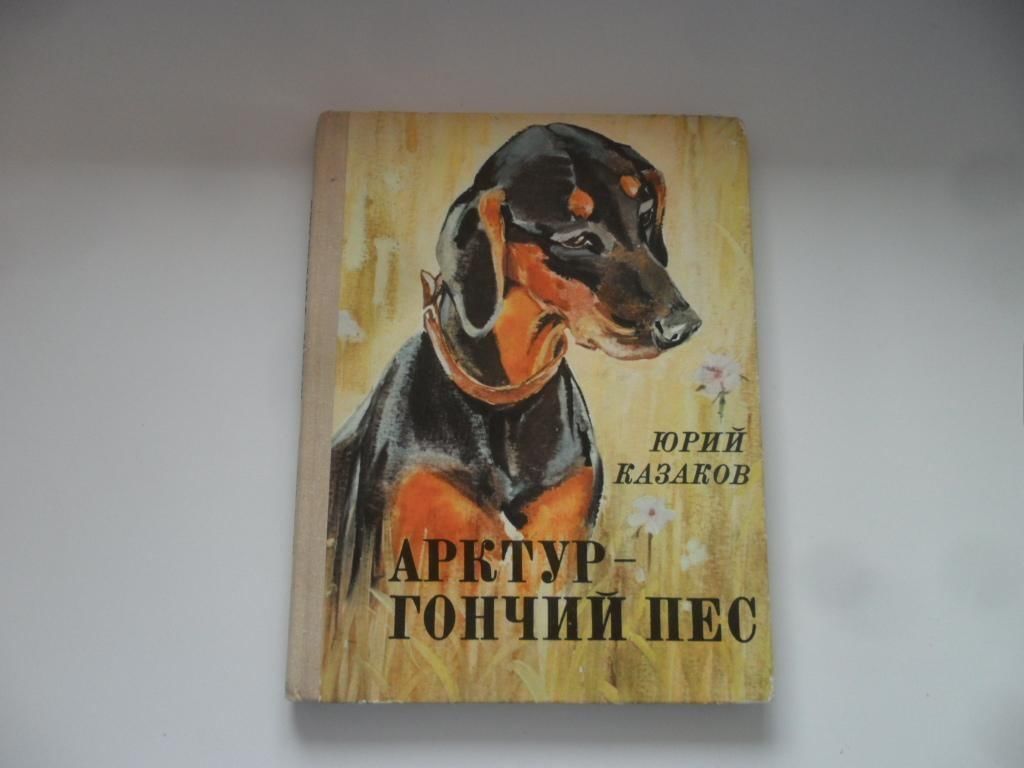 Картинки арктур гончий пес