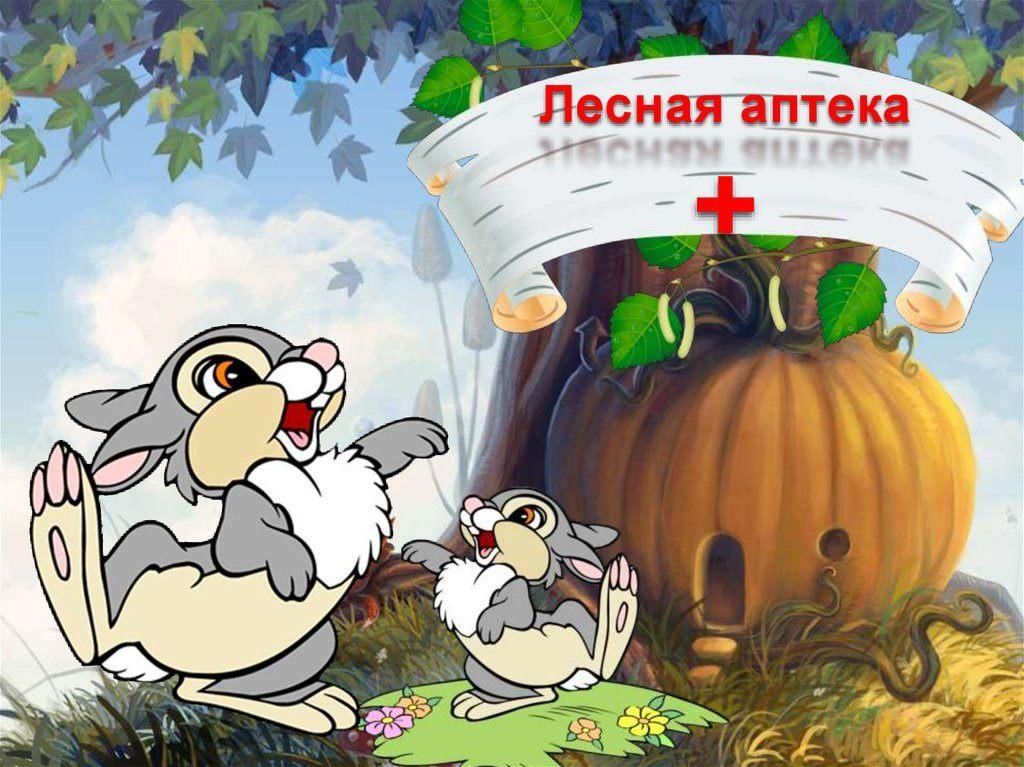Лесная аптека презентация для дошкольников - 93 фото
