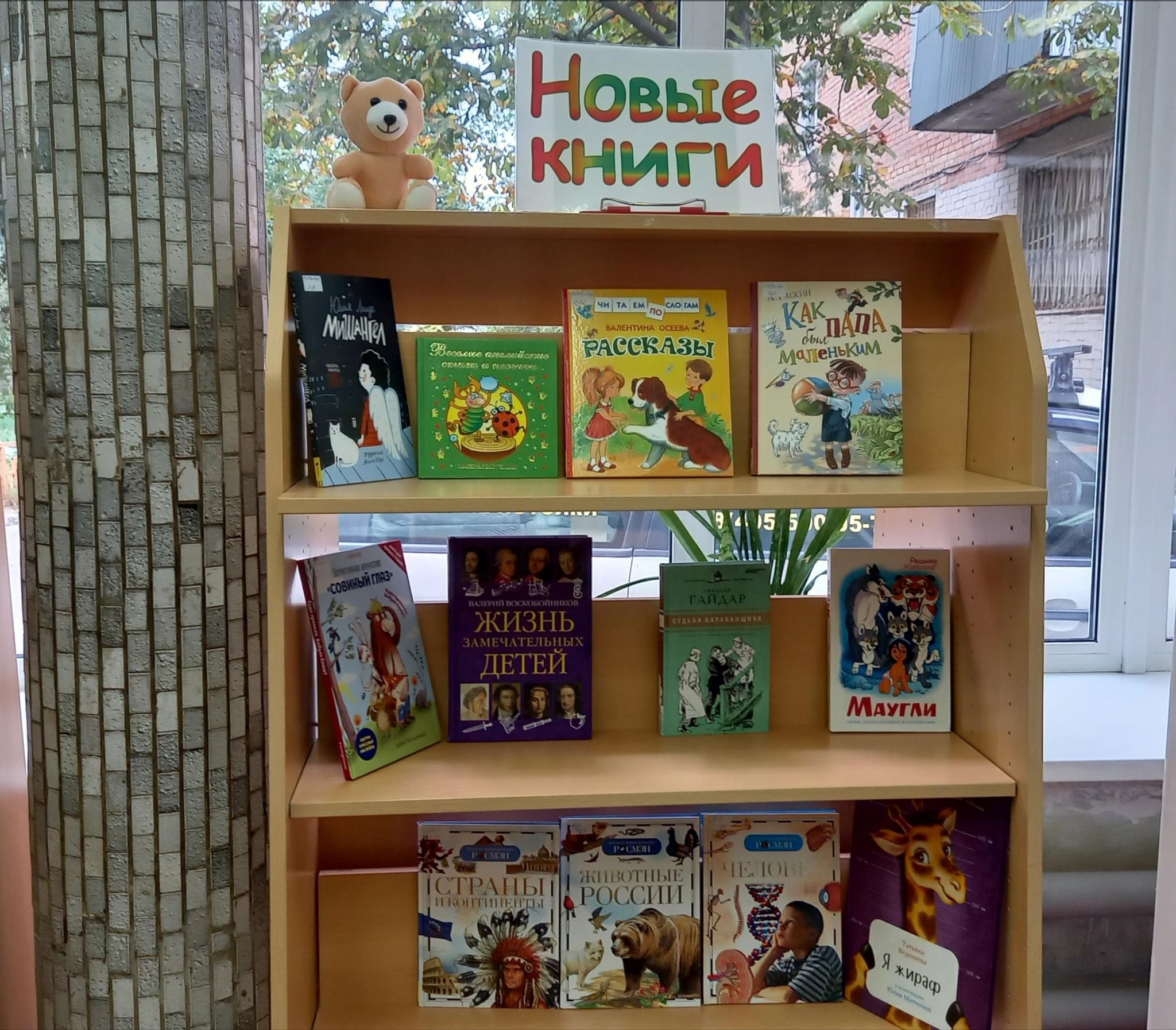 Новейшие книжные выставки. Выставка книг. Книжные выставки в библиотеке. Выставка творчества в библиотеке. Книжные выставки по библиотеке.