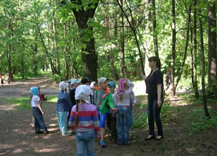 Экскурсия в лес. Дети на экскурсии в лесу. Школьники на экскурсии в лесу. Экологическая экскурсия.