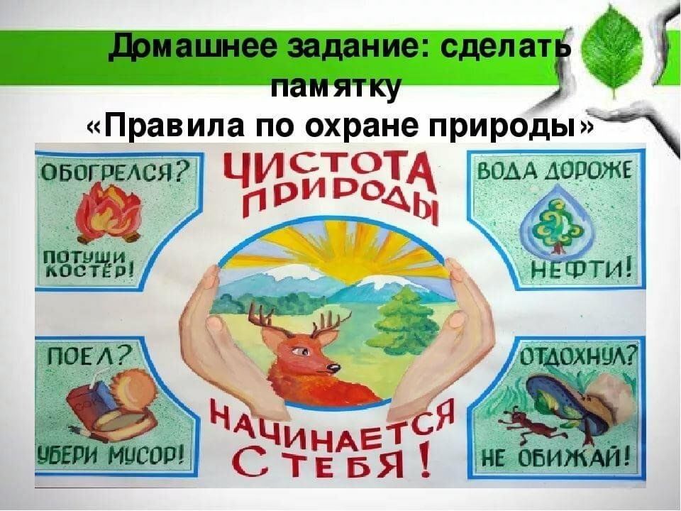 Защита природы презентация