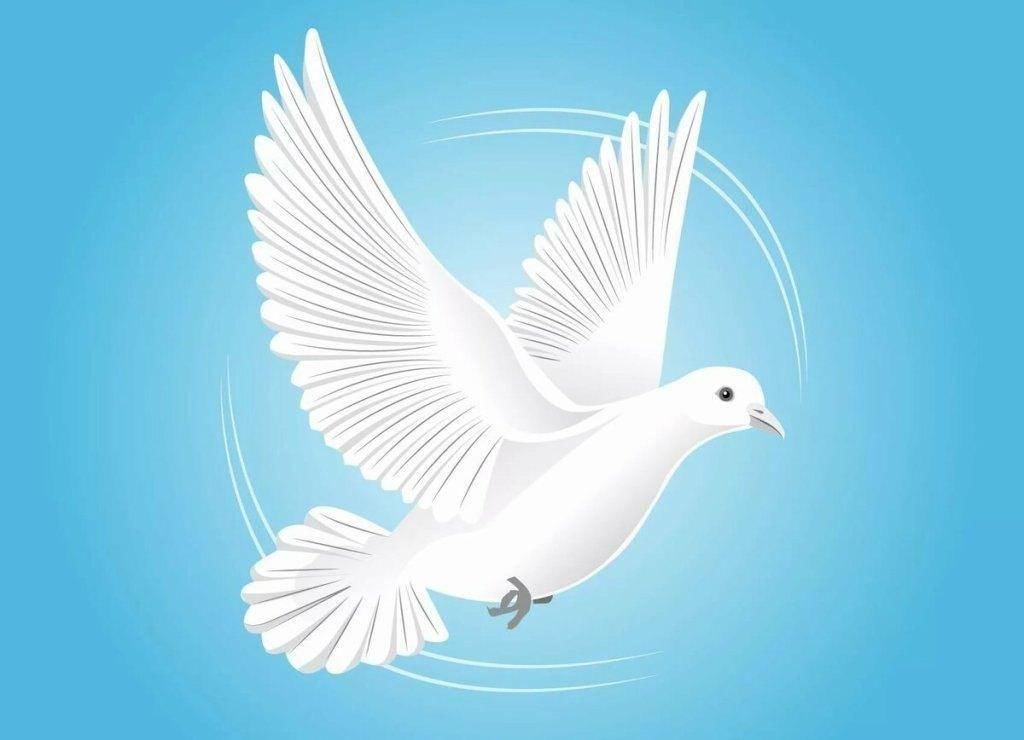 Картинки миру мир с голубем