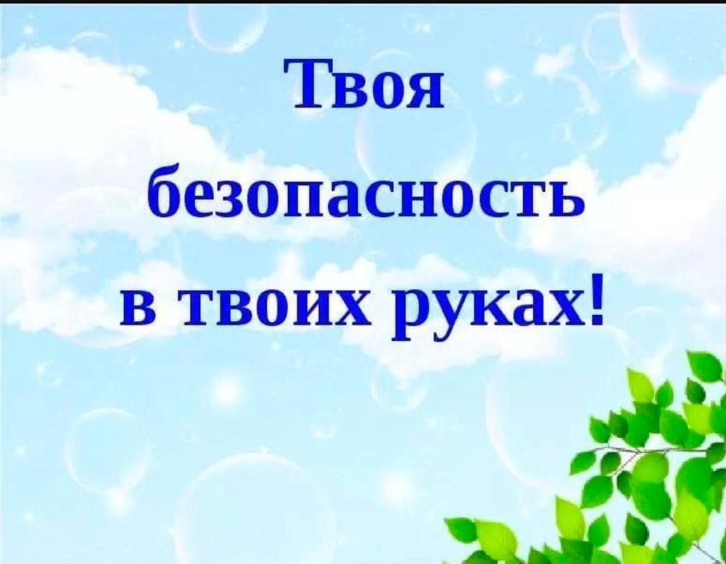 Презентация твое. Твоя безопасность в твоих руках. Твоя безопасность в твоих руках презентация. Путешествуем без опасности. Твоя безопасность в твоих руках классный час.