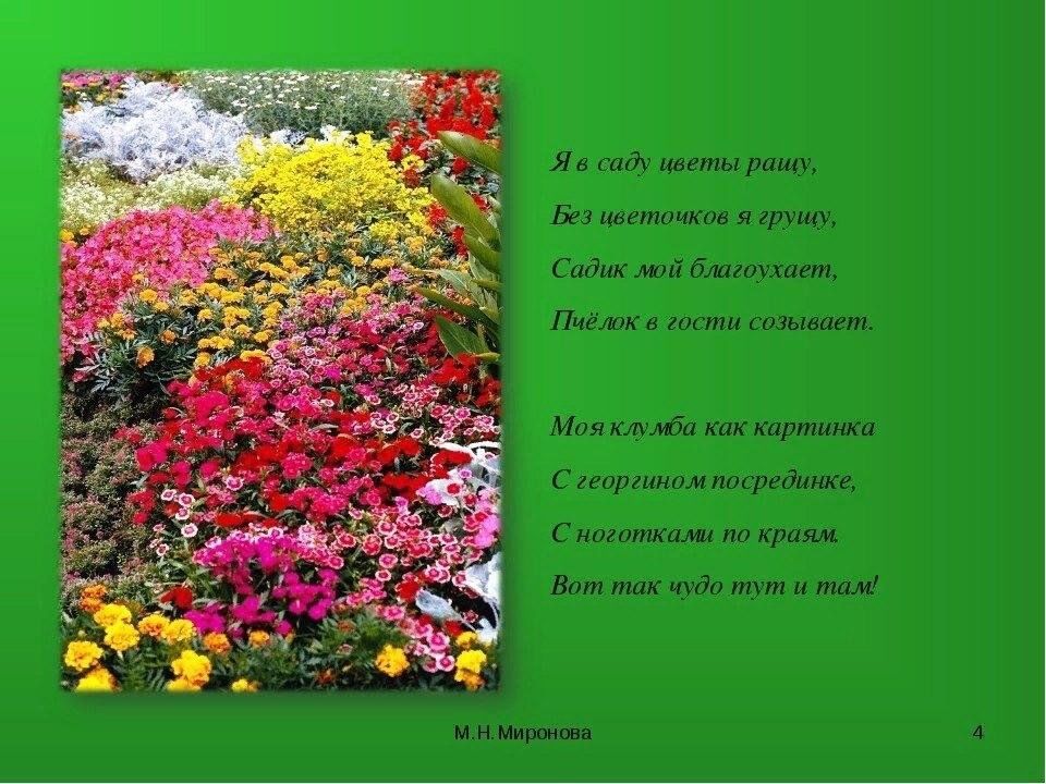 Цветущий сад стихи
