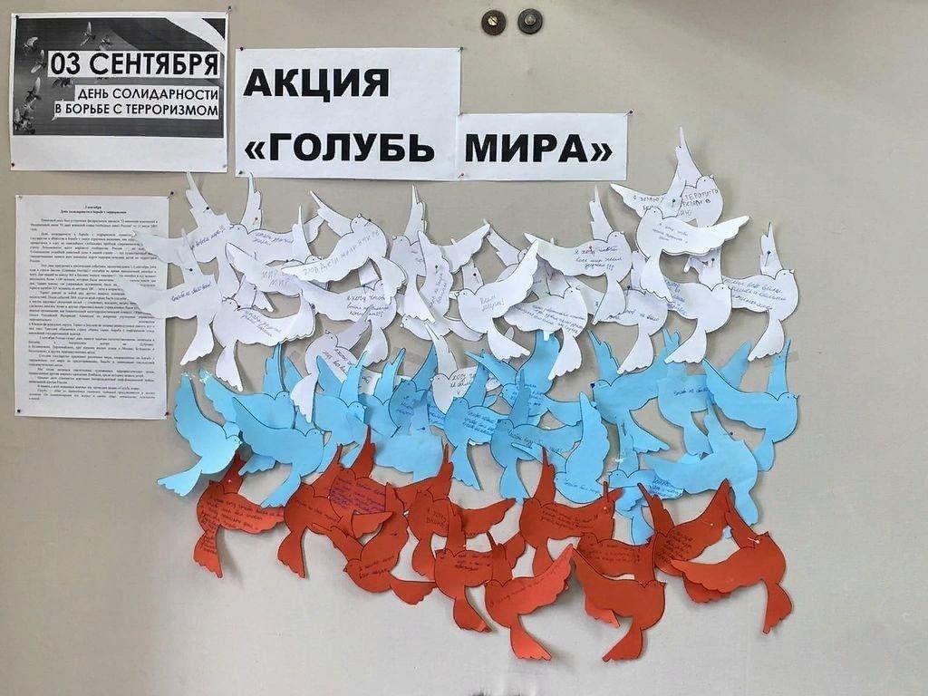 Голубь памяти картинка