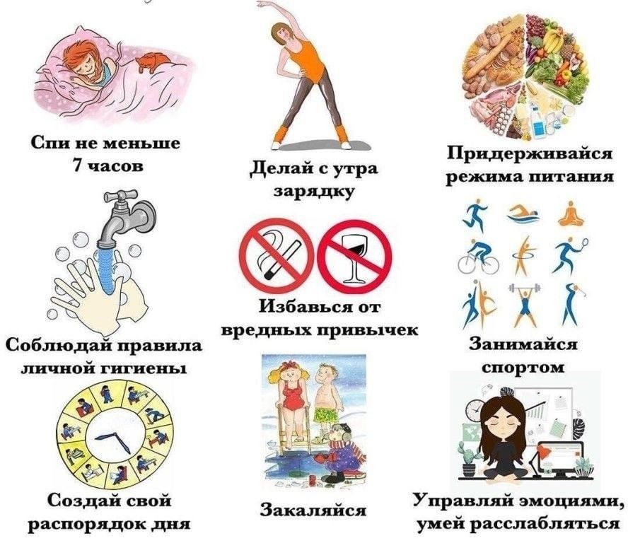 Как выглядит здоровый образ жизни