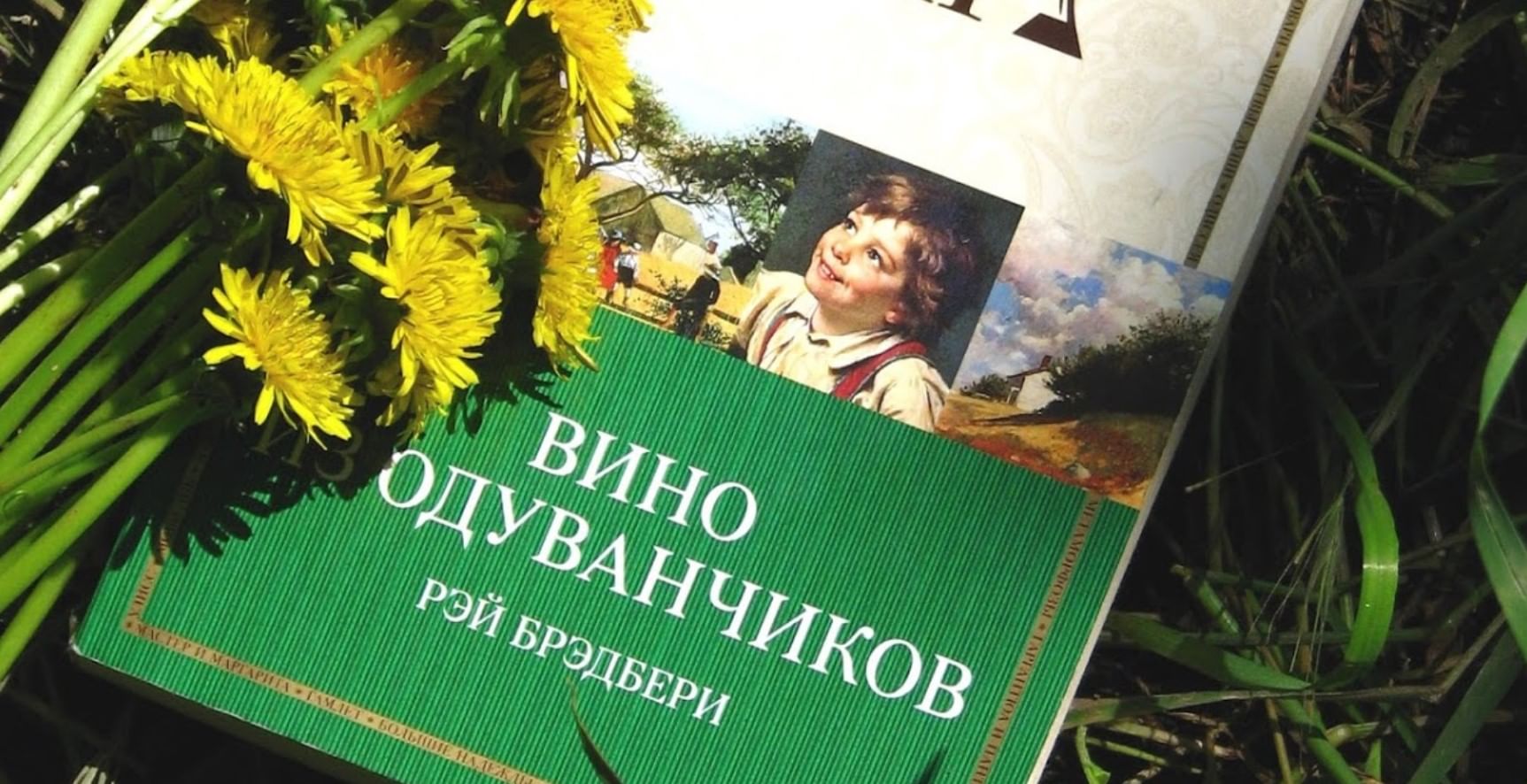 Картинки вино из одуванчиков