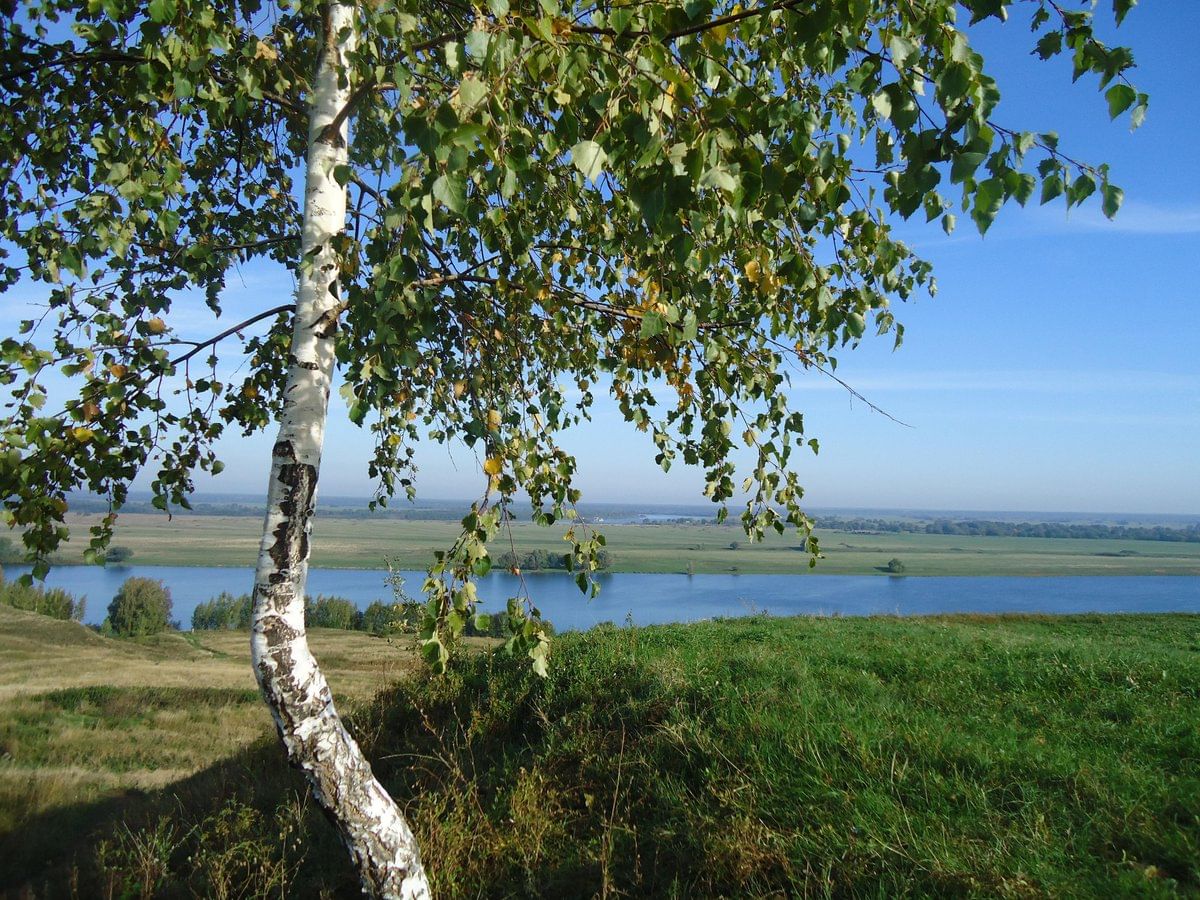 Пейзаж Константиново Родина Есенина